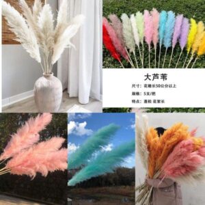 120cm Pampas Grass Stem